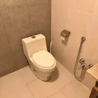 توالت فرنگی