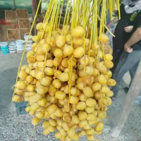 خرما|خوردنی و آشامیدنی|تهران, تهران پارس|دیوار