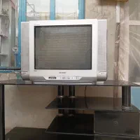 تلوزیون
