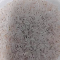 برنج کشت دوم اعلاشمال