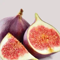 پیش فروش نهال انجیر سیاه سه فصل|خدمات باغبانی و درختکاری|آبگرم, |دیوار