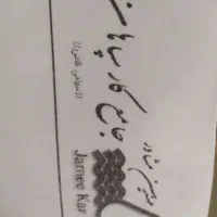 استخدام راننده و خودرو سواری یا وانت بغیر از پراید