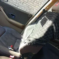 فروش خودرو|خودرو سواری و وانت|مرودشت, مختارآباد|دیوار