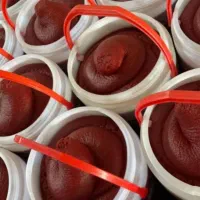 رب گوجه فرنگی خانگی عمده