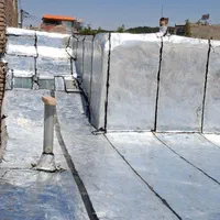 ایزوگام و قیرگونی آسفالت جوان|خدمات پیشه و مهارت|بیرجند, |دیوار