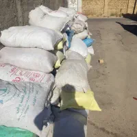 ۱۰۰لاغه کود کفتر موجوده