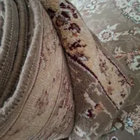 کناره کرم گردویی