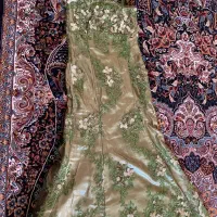 لباس مجلسی|لباس|شیراز, حومه شیراز|دیوار