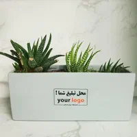 گلدان تبلیغاتی|صنایع دستی و سایر لوازم تزئینی|شیراز, زند|دیوار