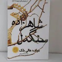 شاهزاده سنگدل سایه های میان ما درباری ازخارورز و..|کتاب و مجله ادبی|تهران, امیرآباد|دیوار