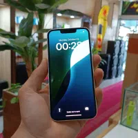 iphone 13  256 GB|موبایل|یزد, |دیوار