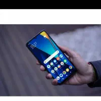 شیامی پوکوc65