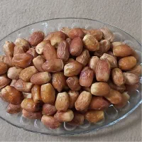 قصب صادراتی درجه یک