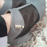 کفش زنانه مجلسی ورسمی|کیف، کفش، کمربند|شیراز, دلجو|دیوار