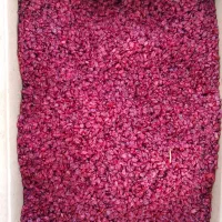 پخش زشک به قیمت عمده