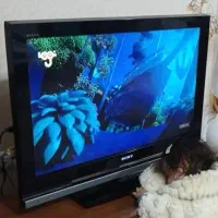 ال سی دی Sony سونی اصل براویا