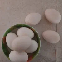 تخم مرغ گلین پنگوئنی خال سوزنی