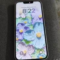 آیفون ۱۳ (iphone 13) 256g|موبایل|تهران, حافظیه|دیوار