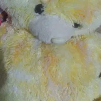 عروسک کارکرده معاوضه با مواد.غذای.پو.شک