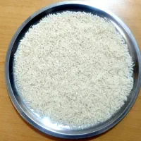 ۷۰کیلو برنج هاشمی سورتینگ زده