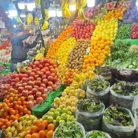 استخدام میوه فروش حرفه ای