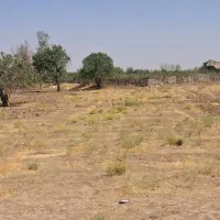 زمین زراعی ، نزدیک شهر|فروش زمین و ملک کلنگی|قزوین, |دیوار