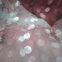 پرده