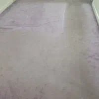 موکت ظریف مصور