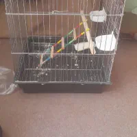 قفس نو بزرگیه