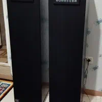 ضبط خانگی