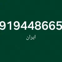 خط طلایی تجارت  09194486656