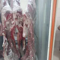 گوشت تازه گوسفندی