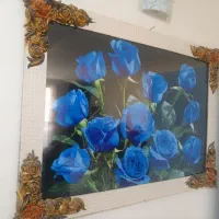 قاب عکس|تابلو، نقاشی، عکس|گلبهار, شهر جدید گلبهار|دیوار