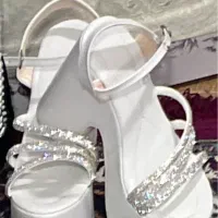 کفش مجلسی لژدار