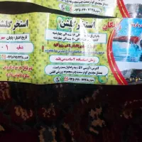 بلیط استخر|بلیت مسابقهها و مکانهای ورزشی|مشهد, پنجتن|دیوار