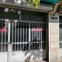 نیازمند صافکار پی دیار مار ماهر درصدی