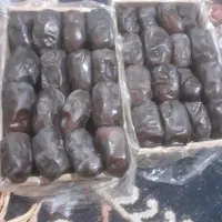 خرما مضافتی بم