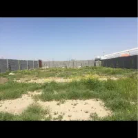 زمین شکار دور دیوار شاهنامه ۳۵