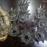 لاله لوستر  سالم ودرحد نو