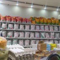 انواع برنج ایرانی و خارجی