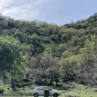 فروش سیم کارت ۹۱۲