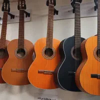 پیانو هنگ درام گیتار ویولن کمانچه سنتور دف کالیمبا|گیتار، بیس، امپلیفایر|بیرجند, |دیوار