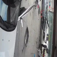 2نفر نیروی کارواش درصدی