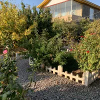 اجاره باغ ویلا شیک و سرسبز