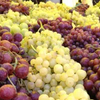 انگور درجه یک همدان