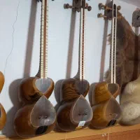 تار الگو یحیی