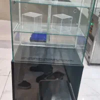 شو کیک
