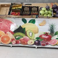 استندوقفسه وتمام وسایل میوه فروشی|فروشگاه و مغازه|کبودرآهنگ, |دیوار