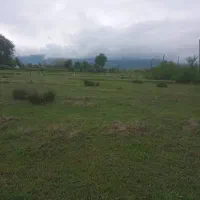 زمین بایر لاهیجان سیاهکل|فروش زمین و ملک کلنگی|سیاهکل, |دیوار