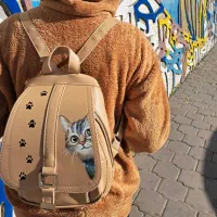 نقاشی روی کیف چرم|کیف، کفش، کمربند|گرگان, |دیوار